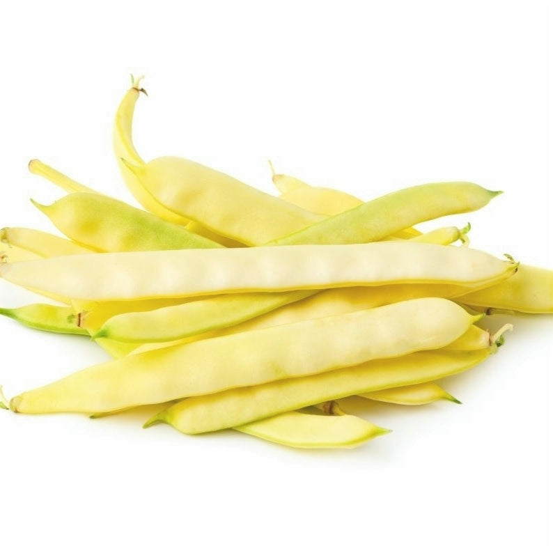 Seminte de Fasole Oloaga "Supernano Yellow", 15 gr