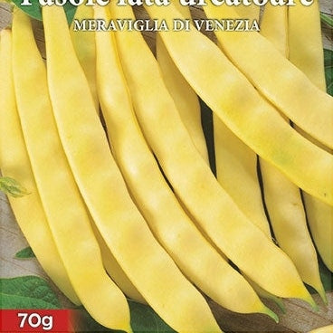 Seminte de Fasole Urcatoare "Meraviglia di Venezia"