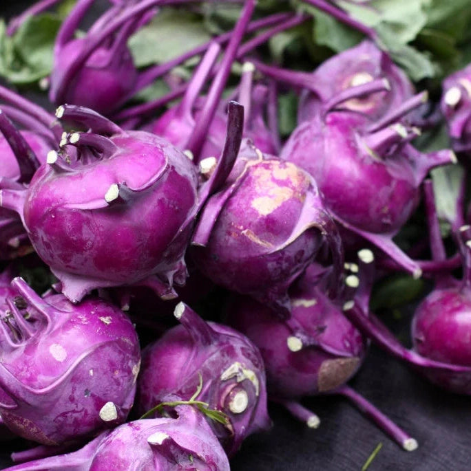 Seminte de Gulie "Vienna", Mov