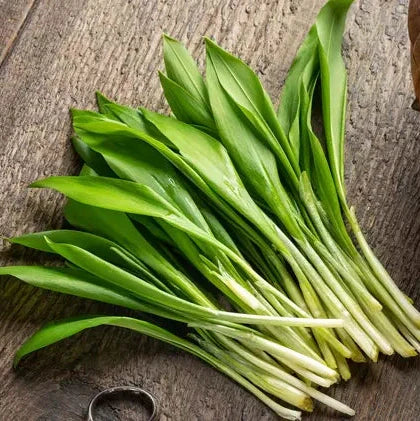 Seminte de Leurda, 0.1 gr