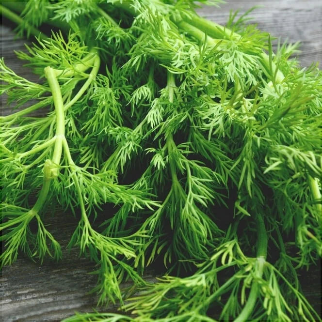 Semințe de Mărar , 2g