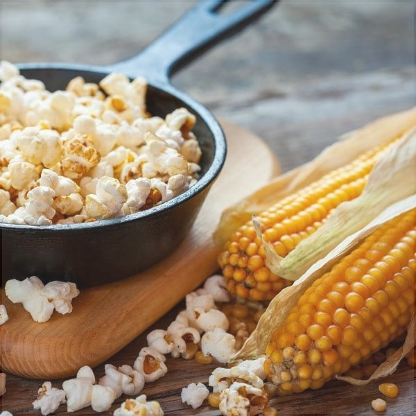 Seminte de Porumb "Popcorn", 8g