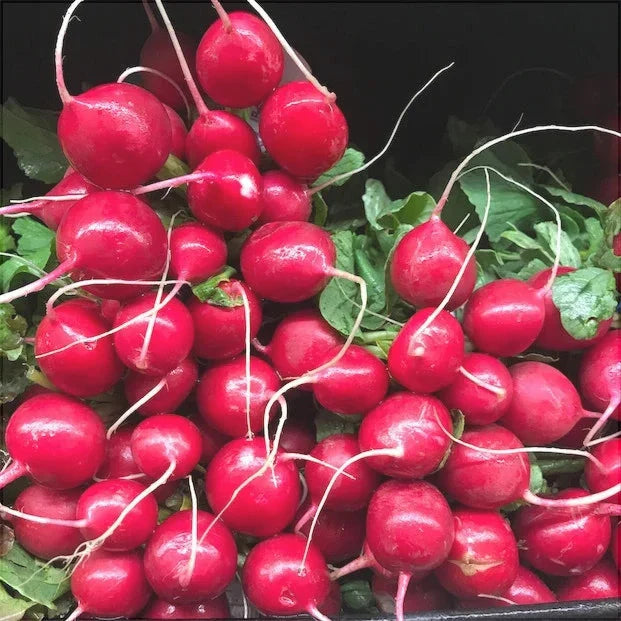 Semințe de Ridichi de Lună "Cherry Belle", 6g