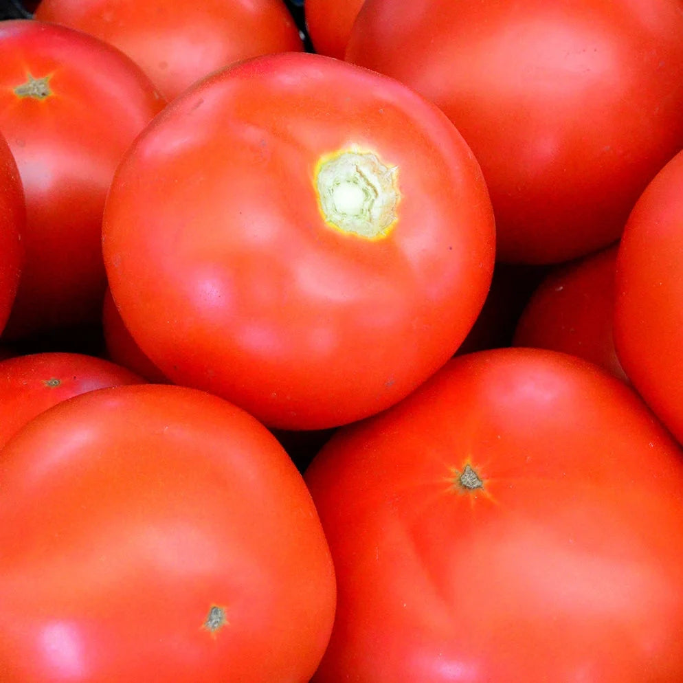 Semințe de Roșii Buzău 22  0,2g