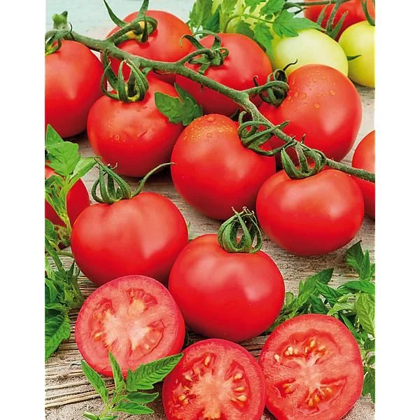 Semințe de Roșii Hibrid "Montecarlo" , 0,5g