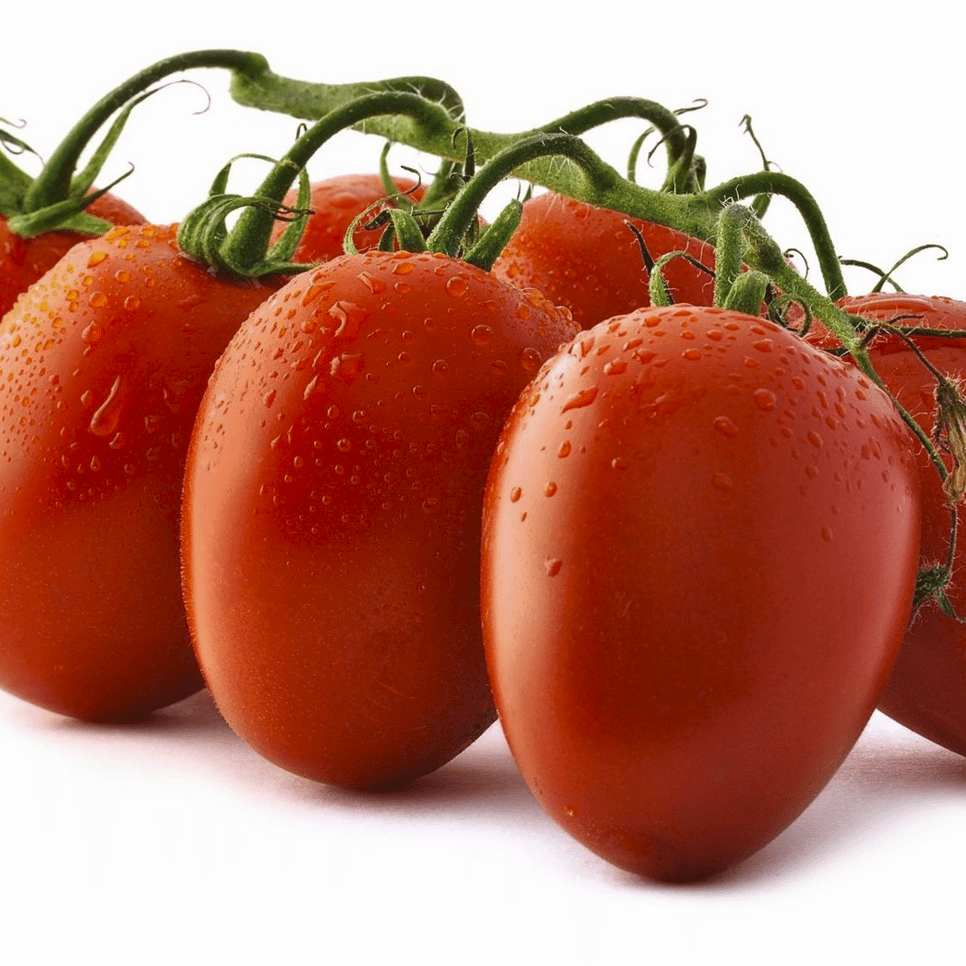 Seminte de Rosii "Rio Grande" 0,7g