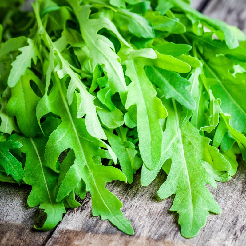 Seminte de Rucola