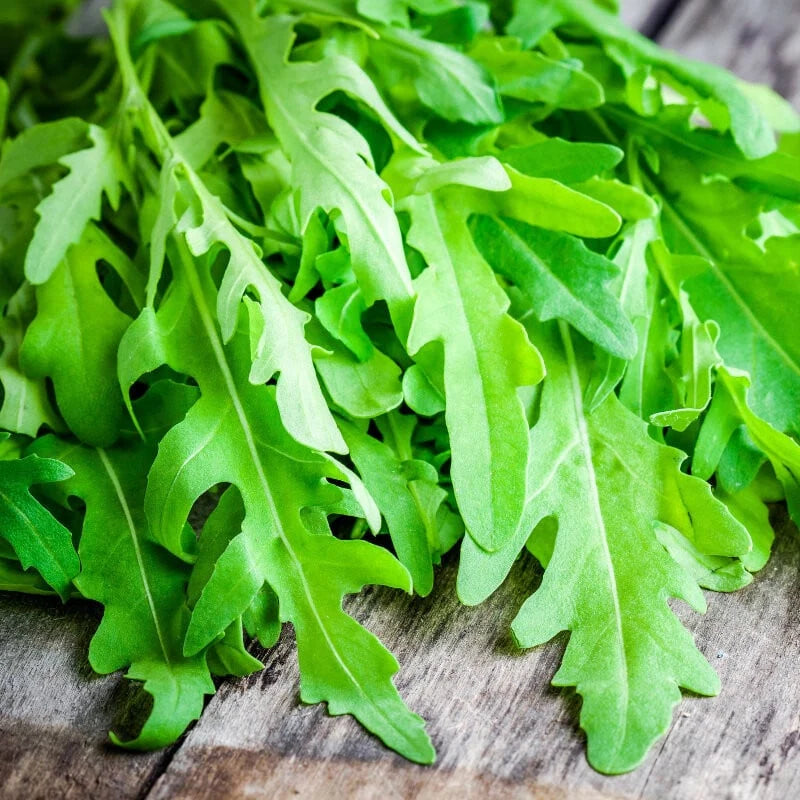 Semințe de Rucola , 7 gr