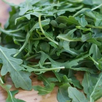 Semințe de Rucola , 7 gr