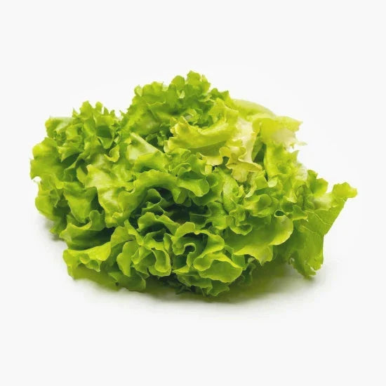 Semințe de Salată Lollo Bionda , 2g