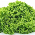 Semințe de Salată Lollo Bionda , 2g