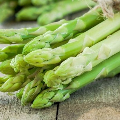 Seminte de Sparanghel