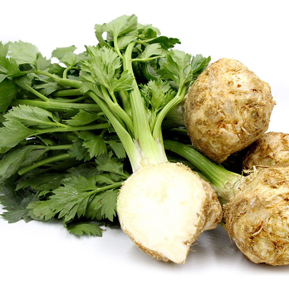 Seminte de Telina de Radacina "Giant Prague"