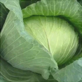 Seminte de Varza Toamna "Brunswick"