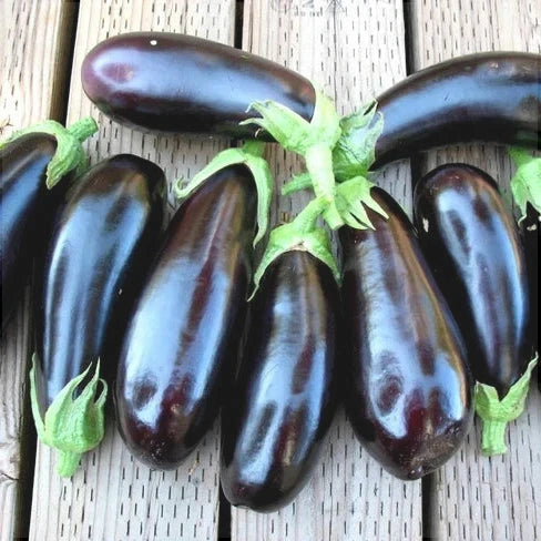 Seminte de Vinete "Dragaica", 5g