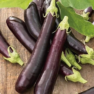 Semințe de Vinete "Early Long Purple", 2g