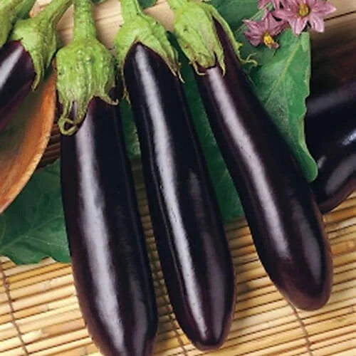 Seminte de Vinete "Violetta Lunga", 2g