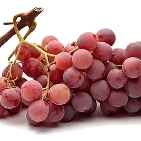 Vita de Vie de Masa - Red Globe - Ghiveci